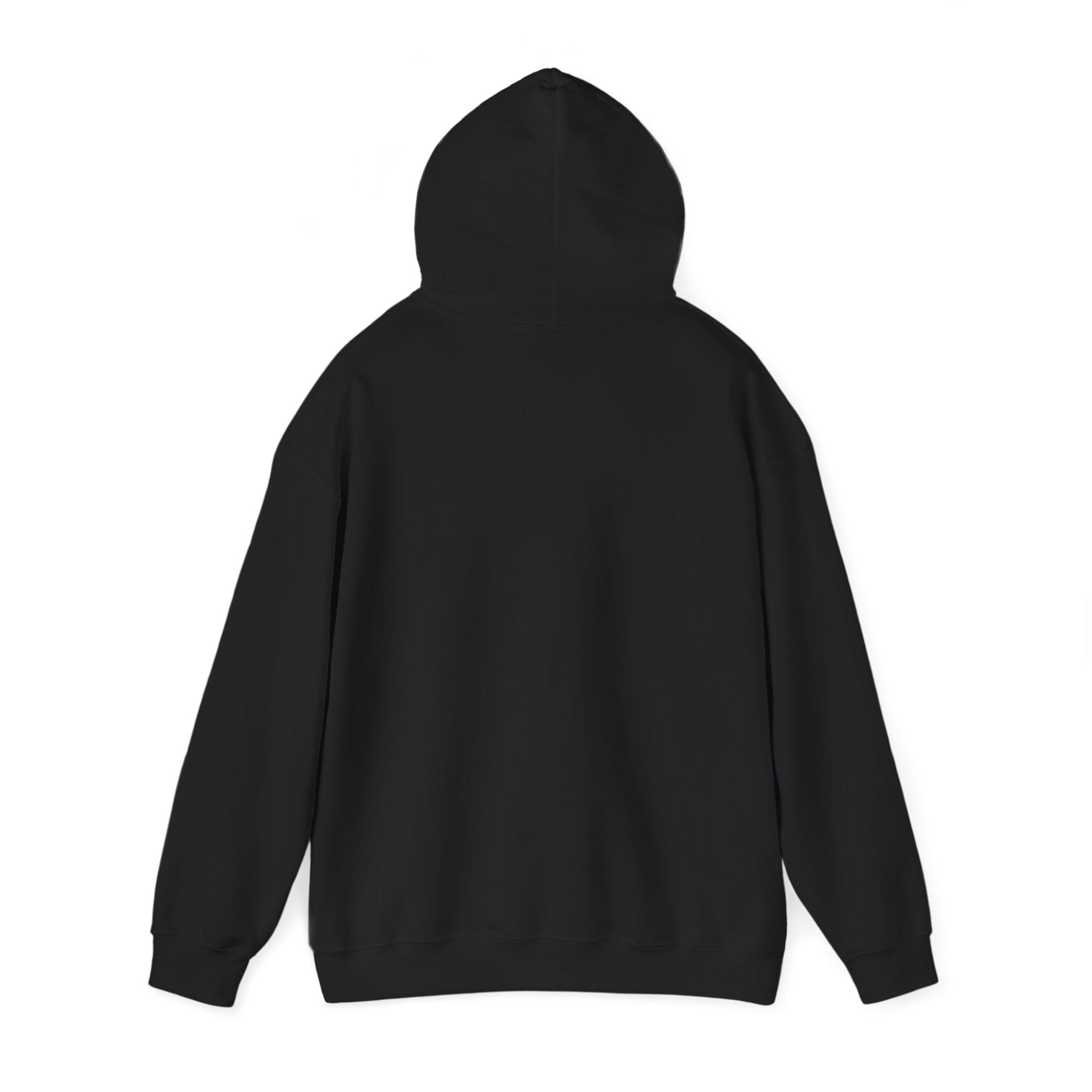 Raccoon Mascot Hoodie — Cute Retro Animal Logo Pullover