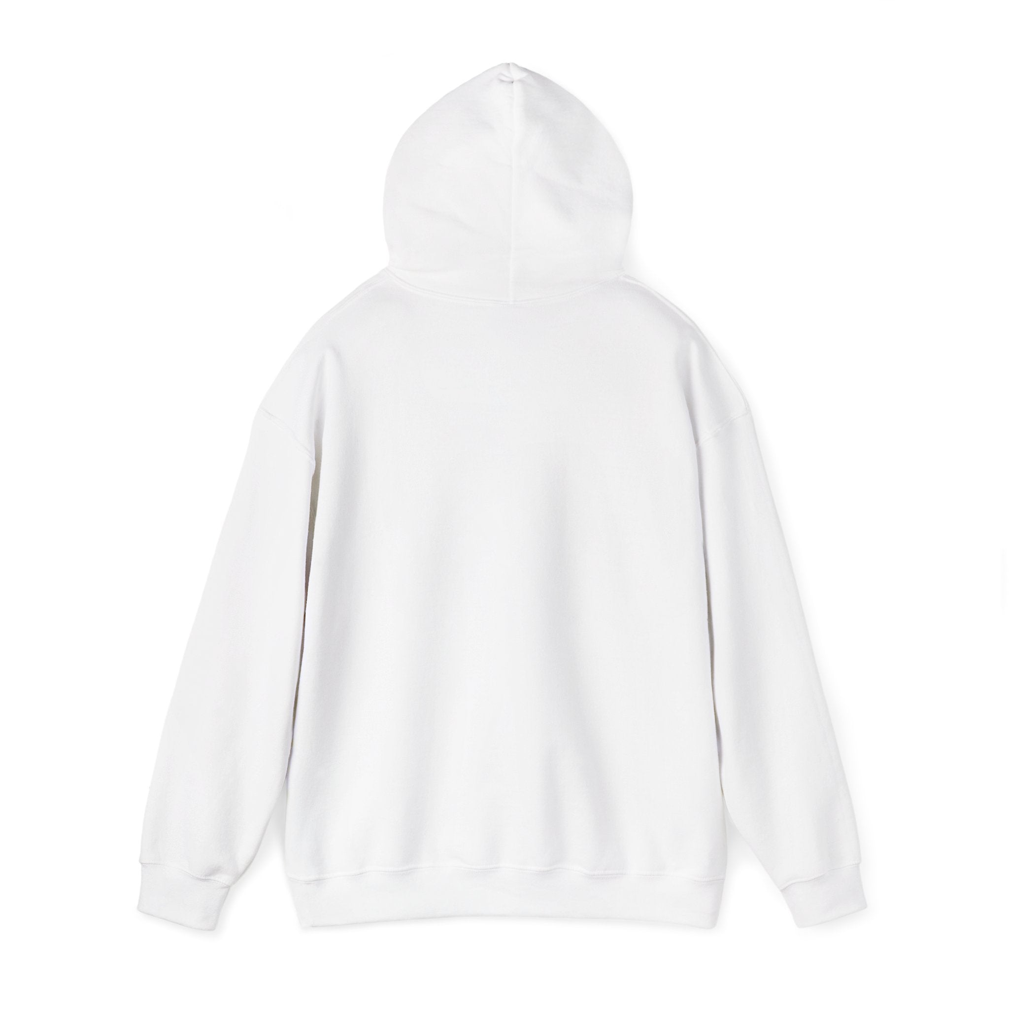 Retro Raccoon Logo Hoodie – Vintage Cartoon Animal Pullover