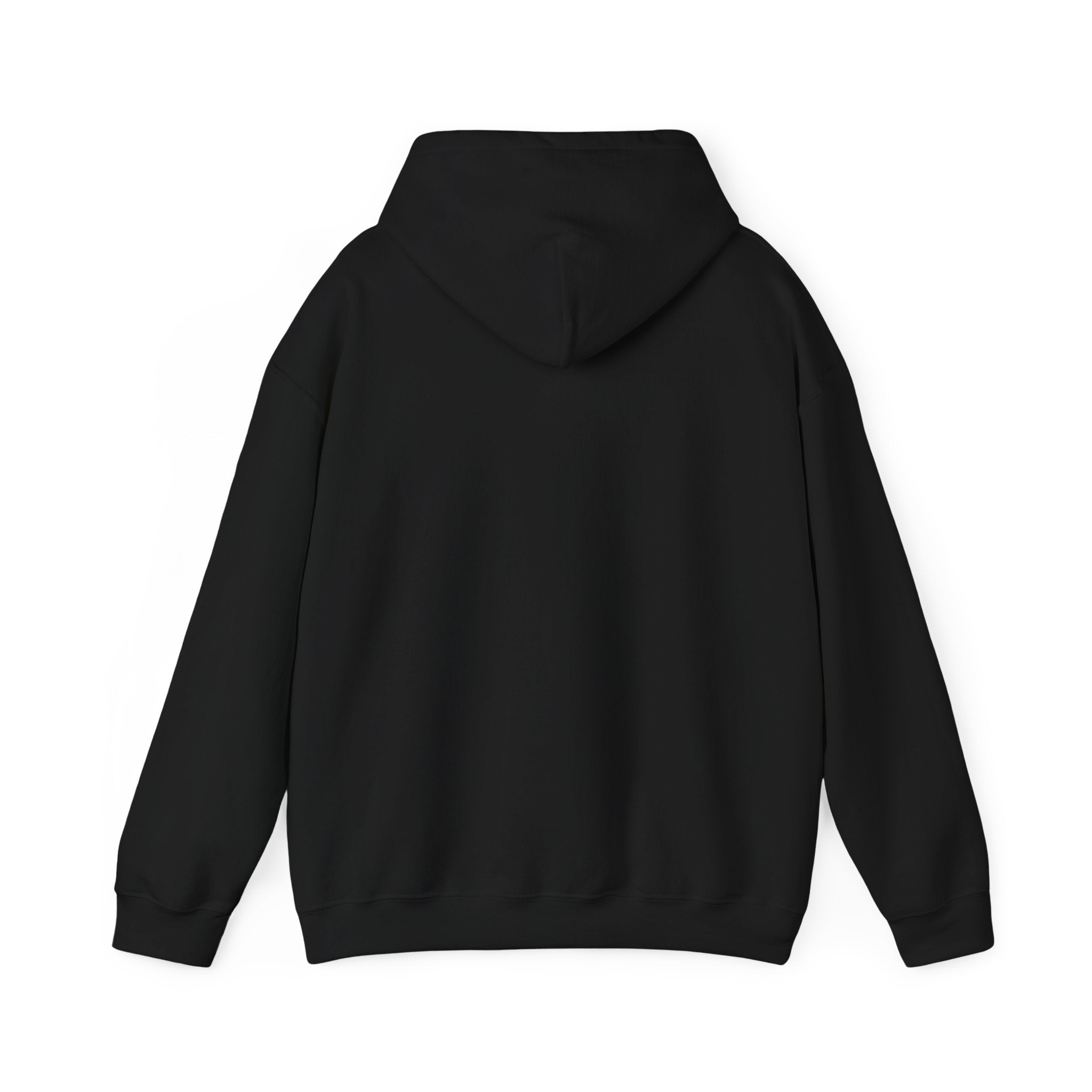 Raccoon Mascot Hoodie — Cute Retro Animal Logo Pullover