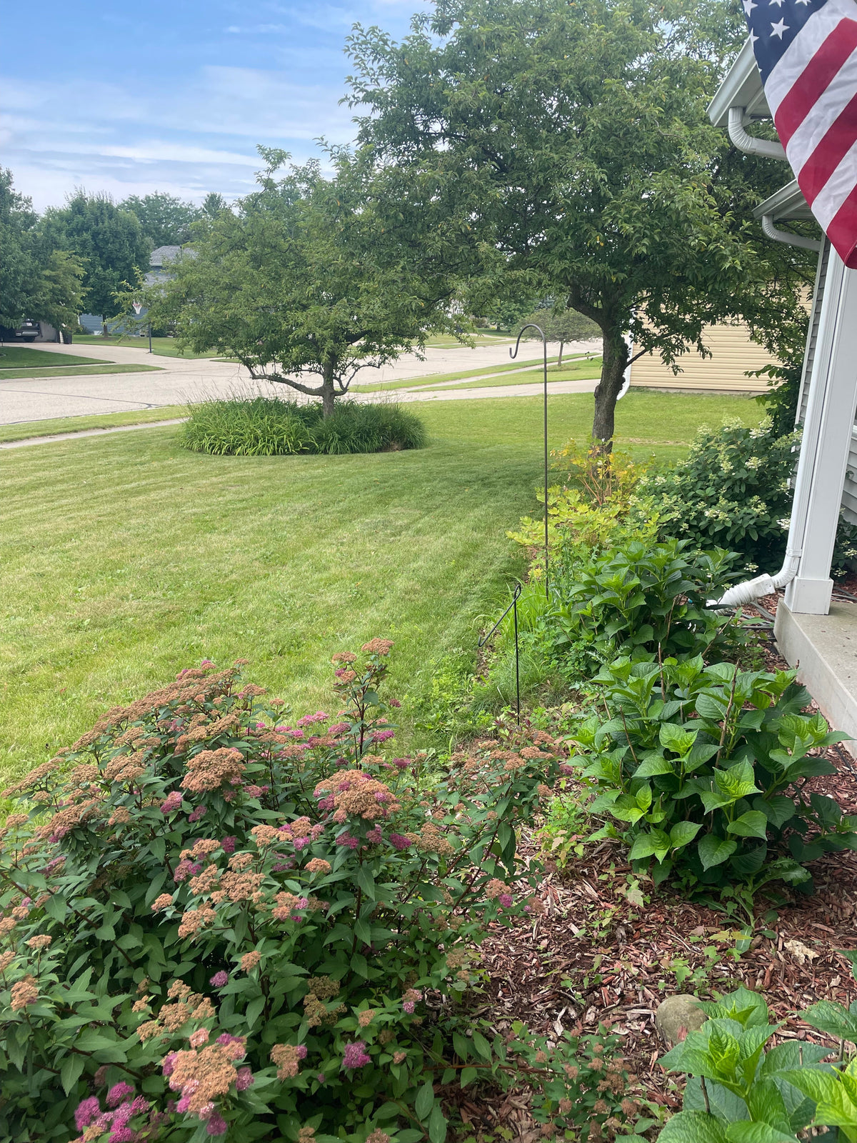 I just cut my lawn