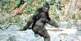 Big Foot / Yeti / Sasquatch