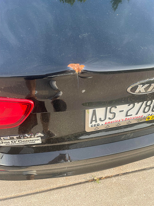 I hit a Fedex Truck with my car