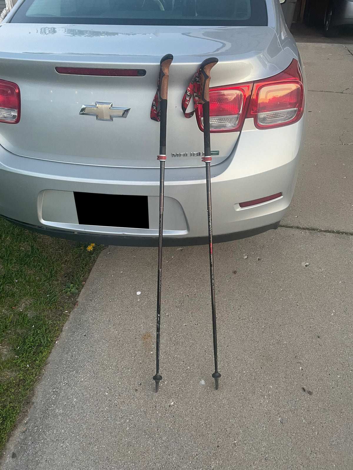 Walking Sticks