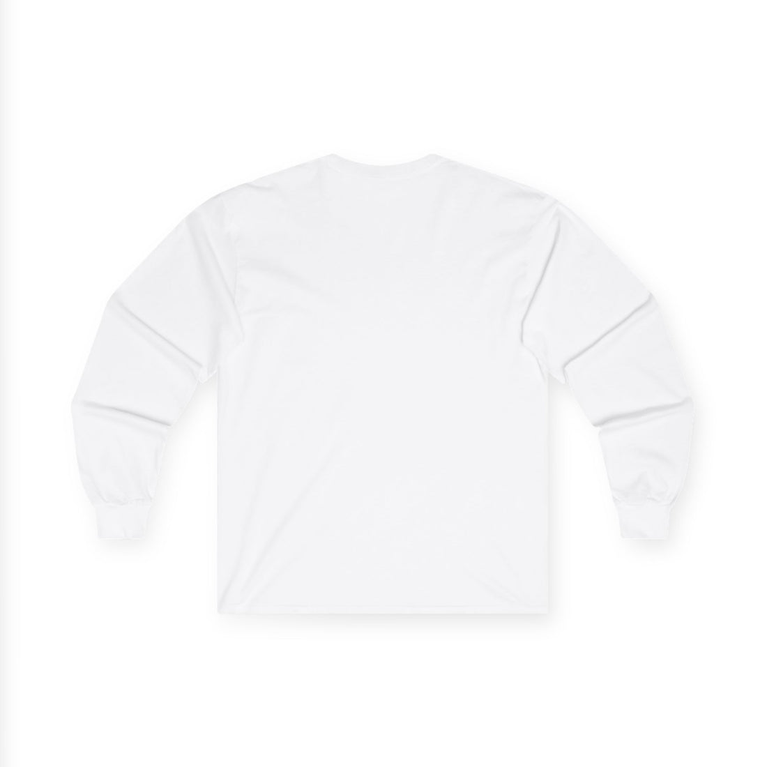 Raccoon Patch Long Sleeve Tee — Cute Retro Animal Graphic Shirt