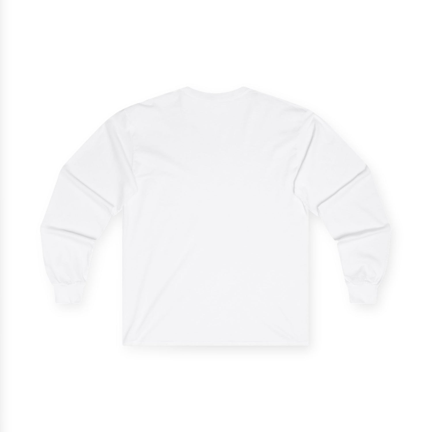 Raccoon Patch Long Sleeve Tee — Cute Retro Animal Graphic Shirt