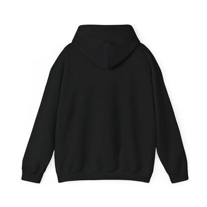 Raccoon Mascot Hoodie — Cute Retro Animal Logo Pullover
